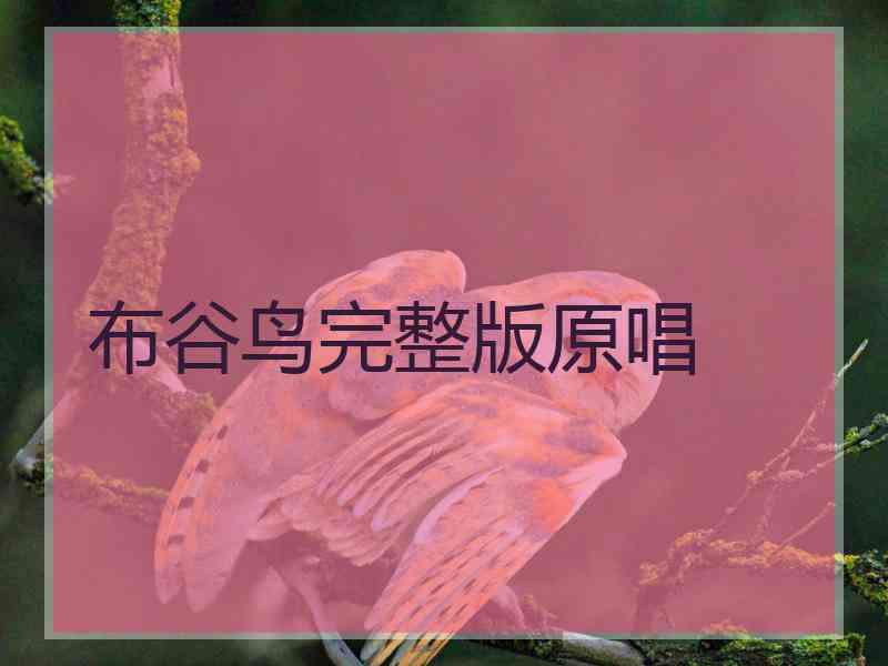 布谷鸟完整版原唱