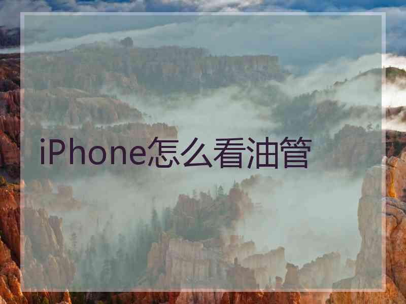 iPhone怎么看油管